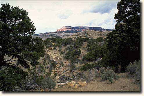 Scenic Route 12: Powell Point Viewpoint