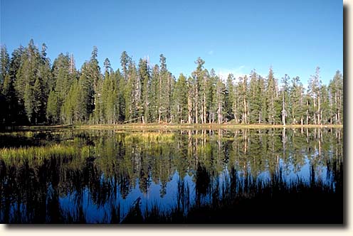 Yosemite NP: Siesta Lake