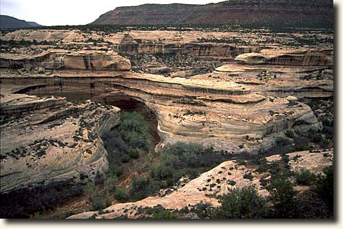 Natural Bridges NM: Sipapu Bridge