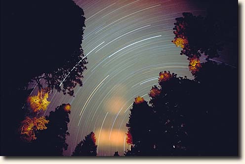 Sequoia NP: Startrails