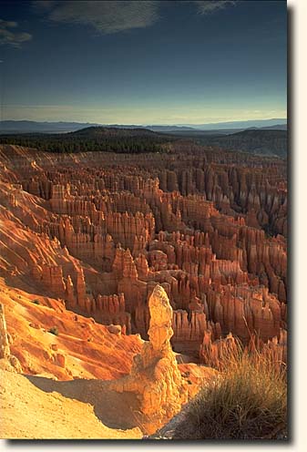 Bryce Canyon NP: Sunset Point