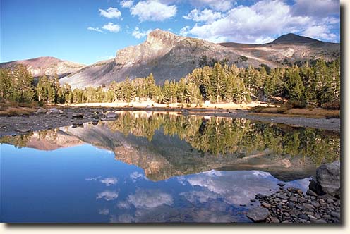 Yosemite NP, Foto Mount Dana an der Tioga Road