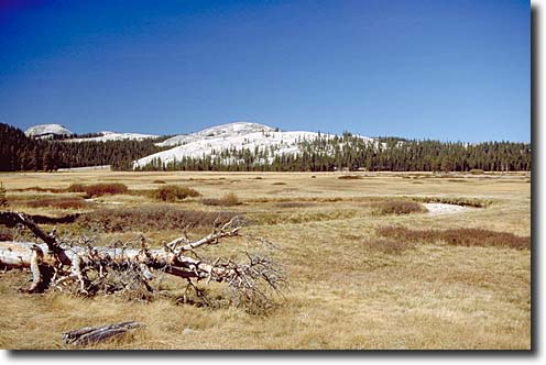 Yosemite NP: Tuolumne Meadow