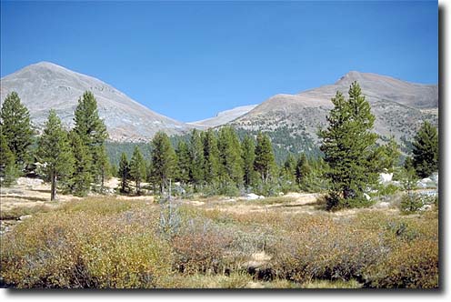 Yosemite NP: Tuolumne Meadow