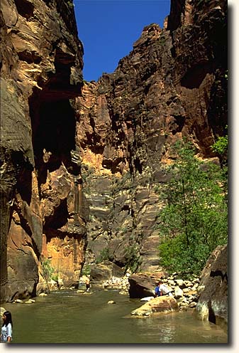 Zion NP: Virgin River Narrows