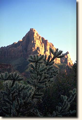 Zion NP: The Watchman