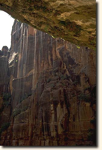 Zion NP: Weeping Rock