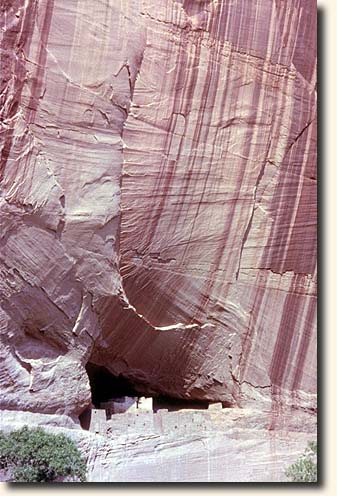 Canyon de Chelly  NM: White House Ruin