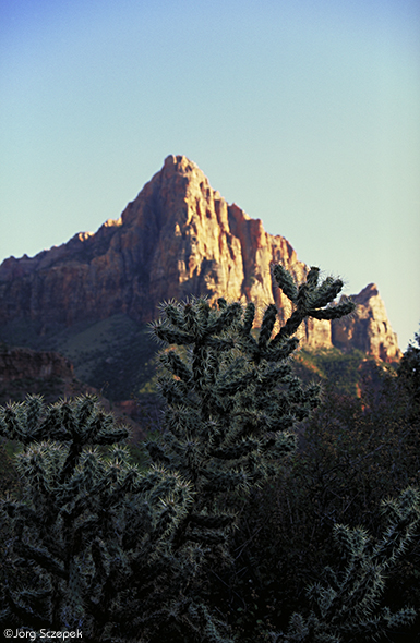 Der Watchman im Zion NP