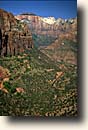 Zion NP : Canyon Overlook