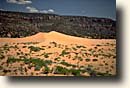 Coral Pink Sand Dunes SP : Dünenlandschaft