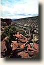 Capitol Reef NP : Goosenecks  Overlook