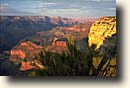 Grand Canyon NP : Hopi Point