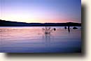 Mono Lake : Navy Beach