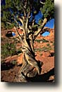 Arches NP : North and South Window