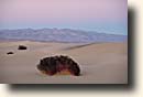 Death Valley NP : Panamint Dunes