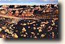 Petrified Forest NP : The Teepees